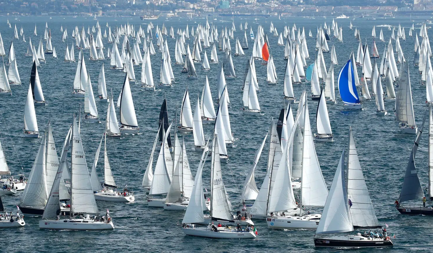 barcolana-2026-adriatic-sailing-team